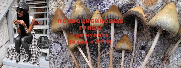 MDMA Premium VHQ Новозыбков