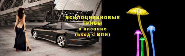 спайс Новодвинск