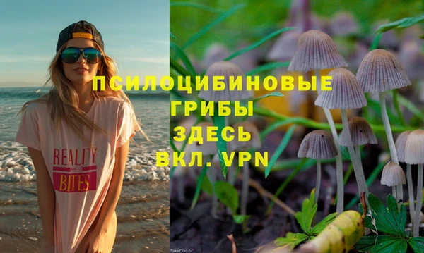 MDMA Premium VHQ Новозыбков