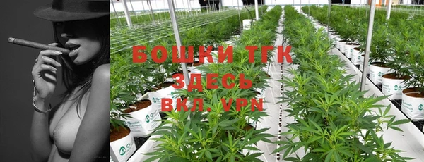 спайс Новодвинск