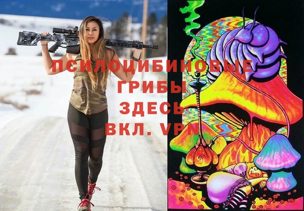 a pvp Новокубанск