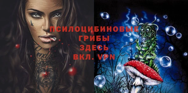 MDMA Premium VHQ Новозыбков