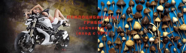 MDMA Premium VHQ Новозыбков