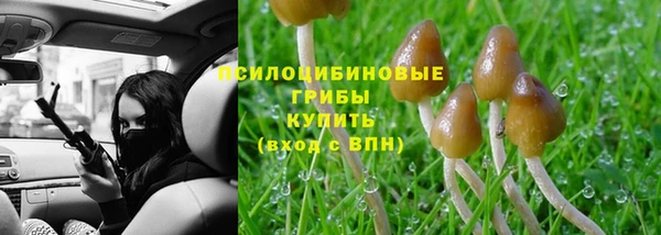 a pvp Новокубанск