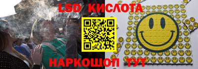 ГАЛЛЮЦИНОГЕННЫЕ ГРИБЫ Камышлов