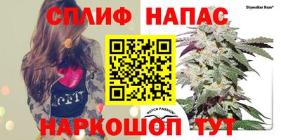 ГАЛЛЮЦИНОГЕННЫЕ ГРИБЫ Камышлов