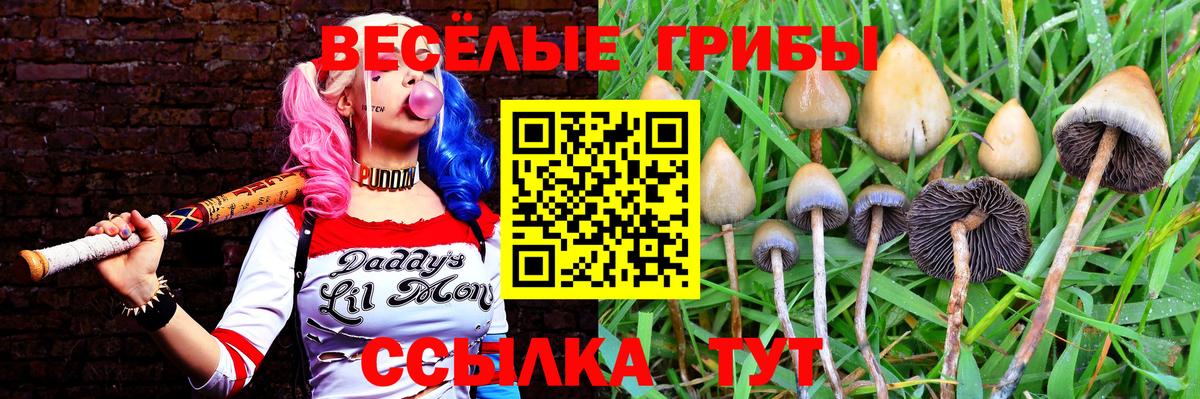 Галлюциногенные грибы ЛСД Ставрополь